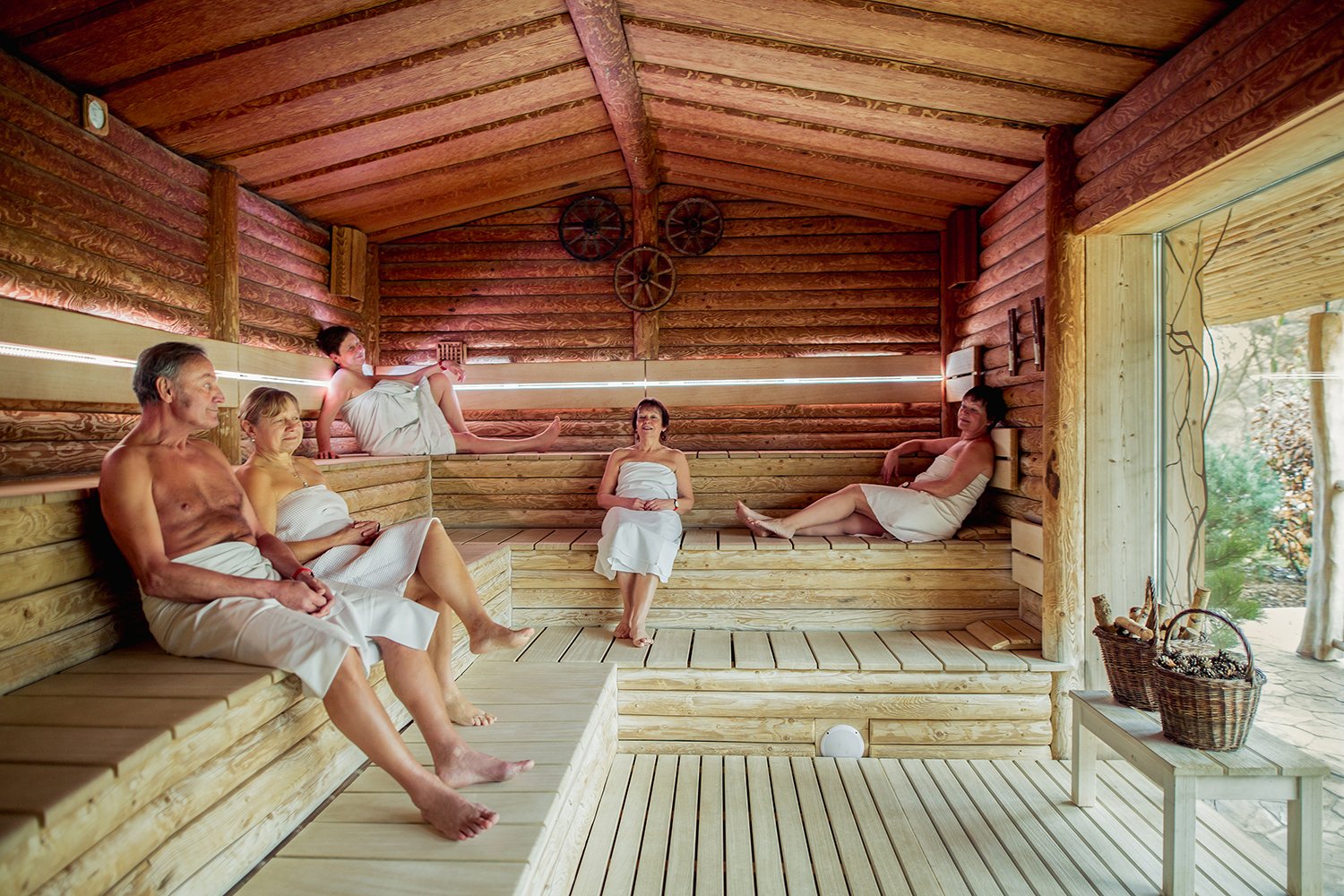 Wellness pro seniory