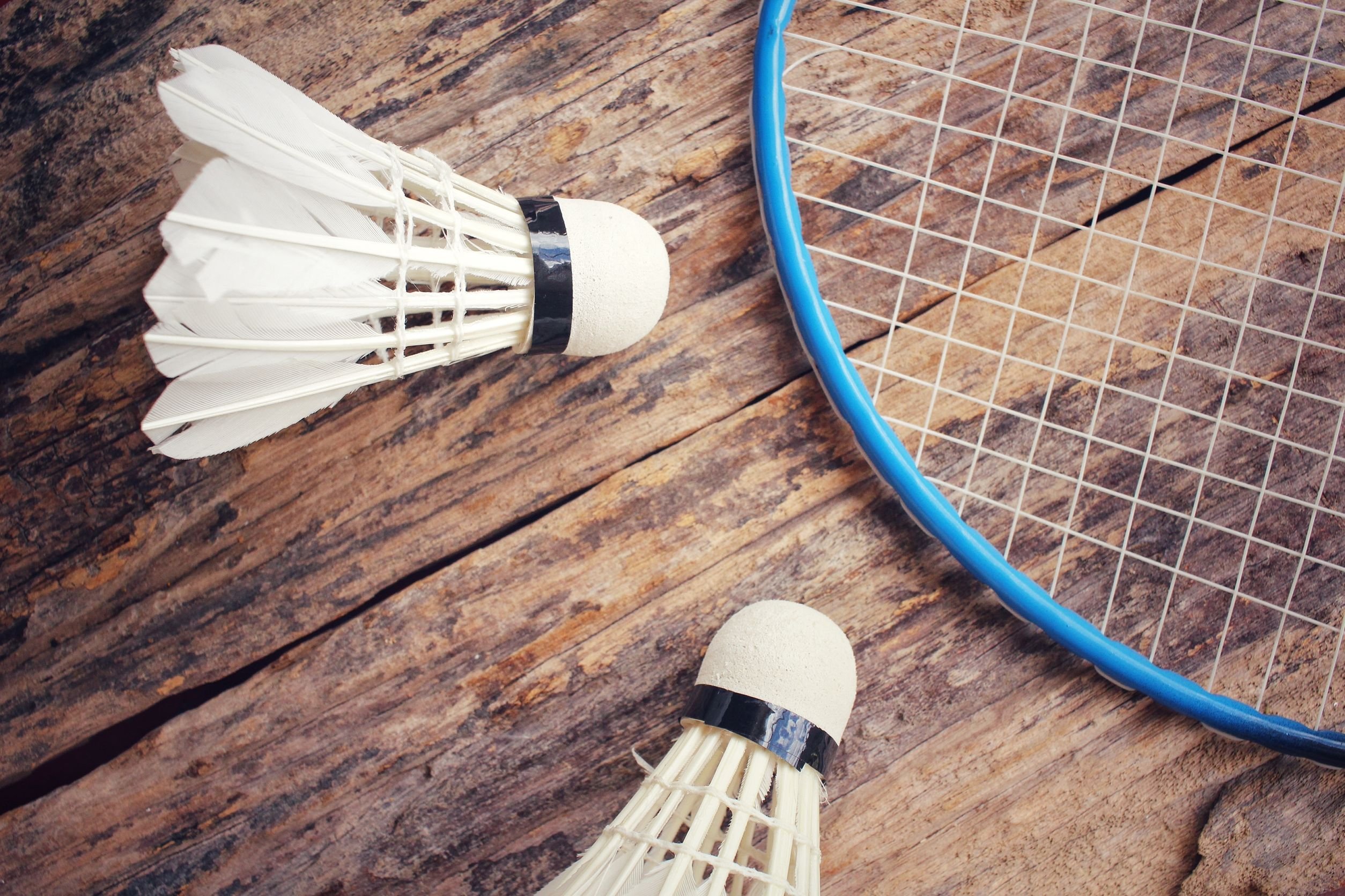 badminton Infinit Step